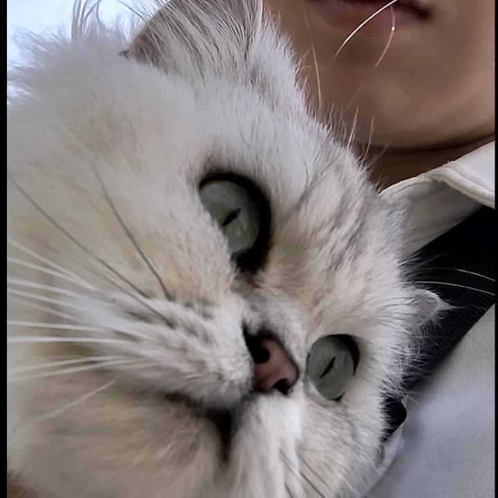 心怽