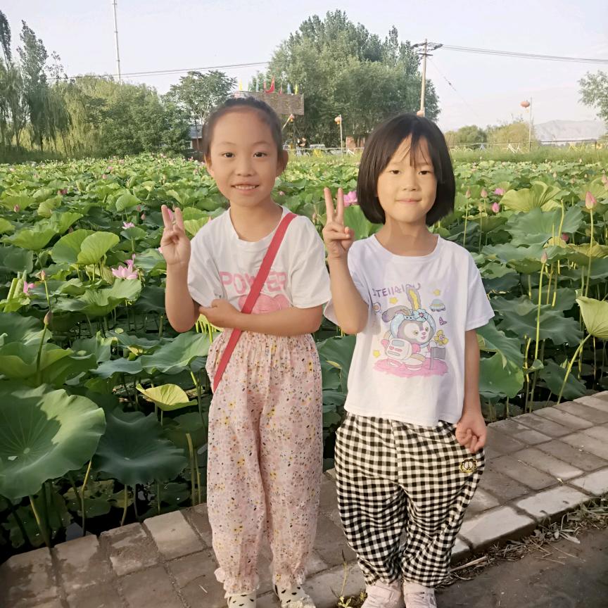 老爱不爱车明天