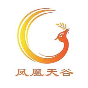 上海天谷