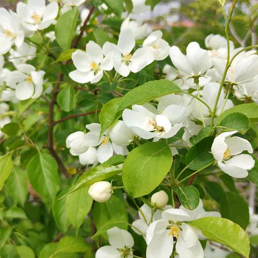 如影随行🍂🍂