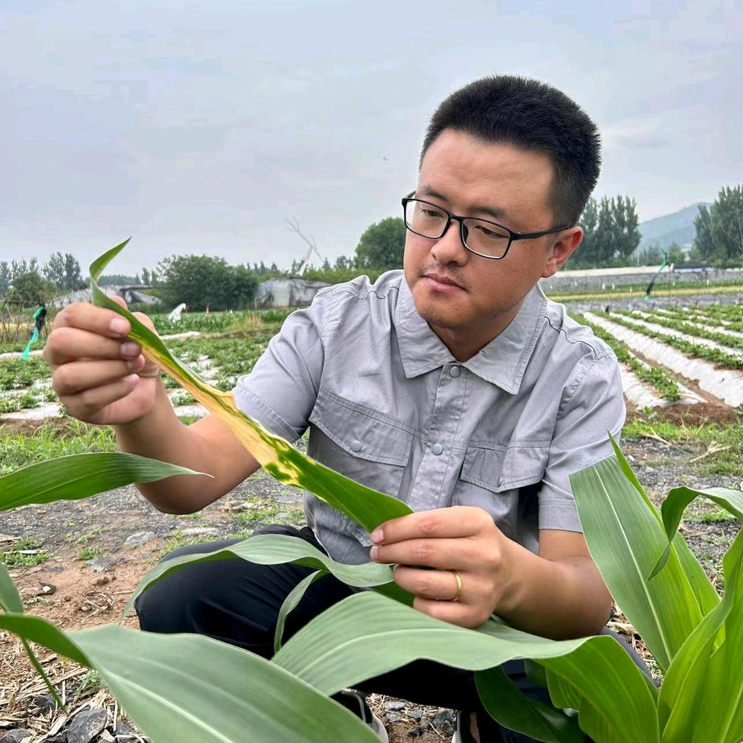 大杨的快乐生活