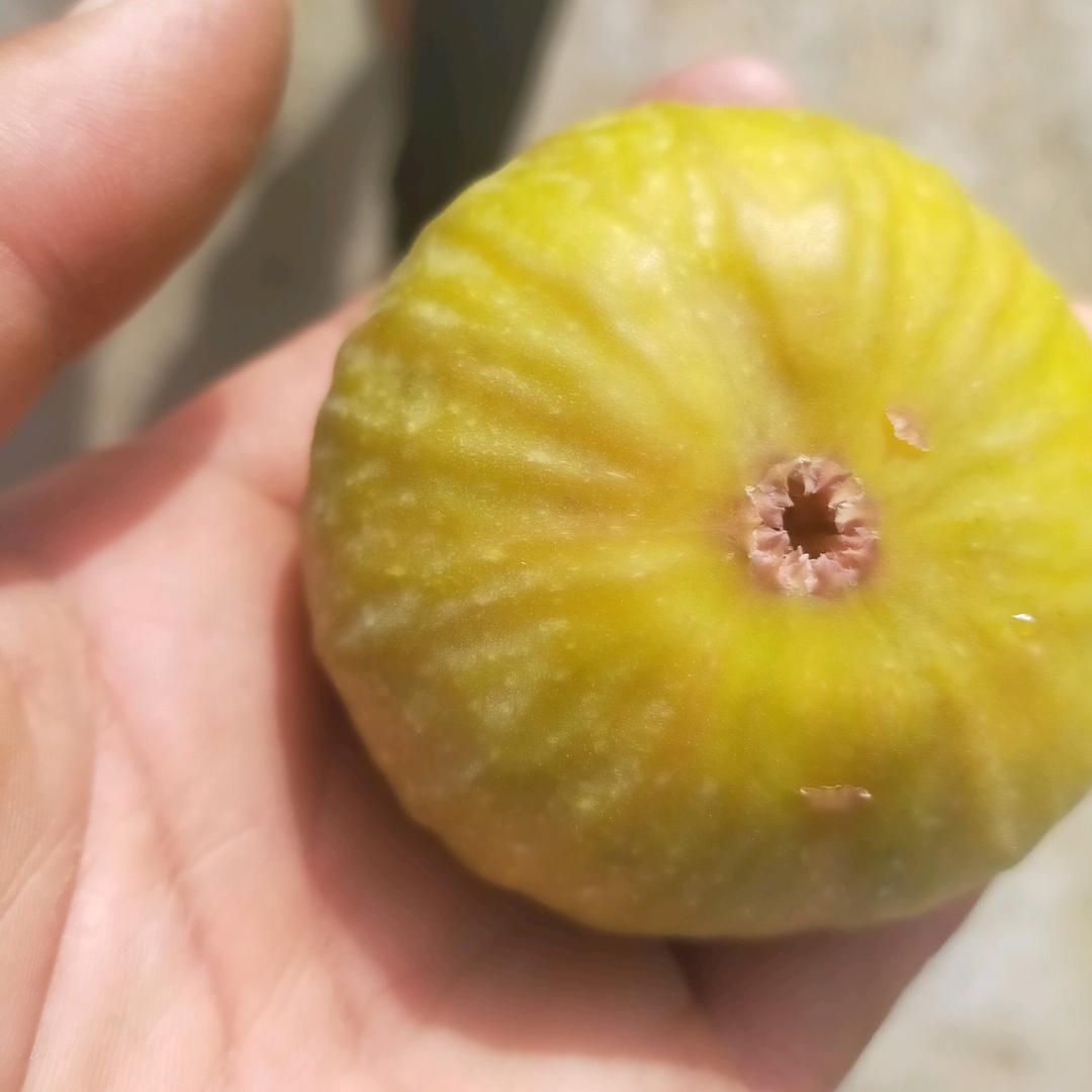 🌹💓TANHA💓🌹