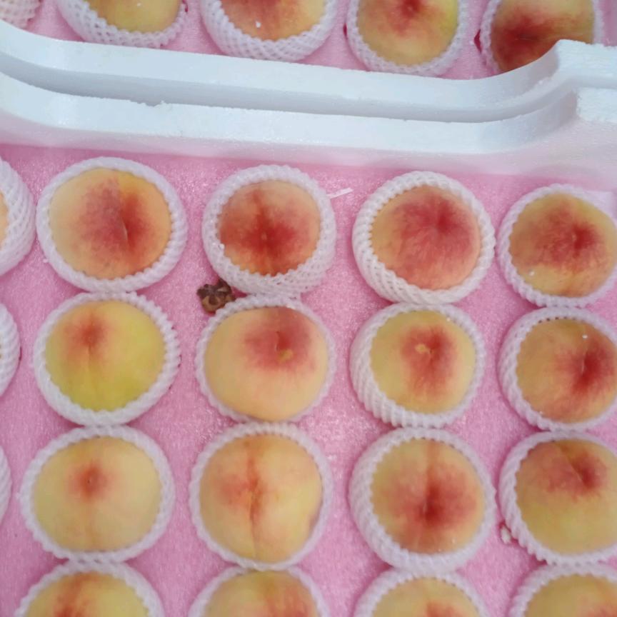 亚玲精品水果批发零售店。