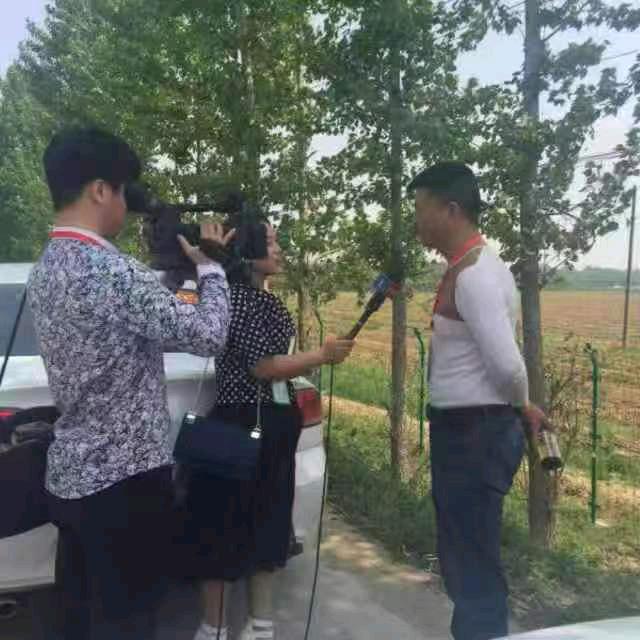 南阳杨哥
