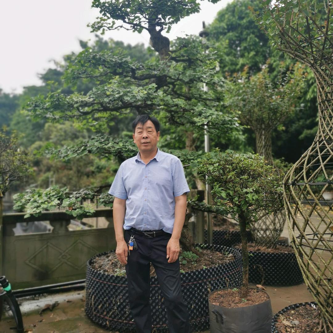 城信装饰