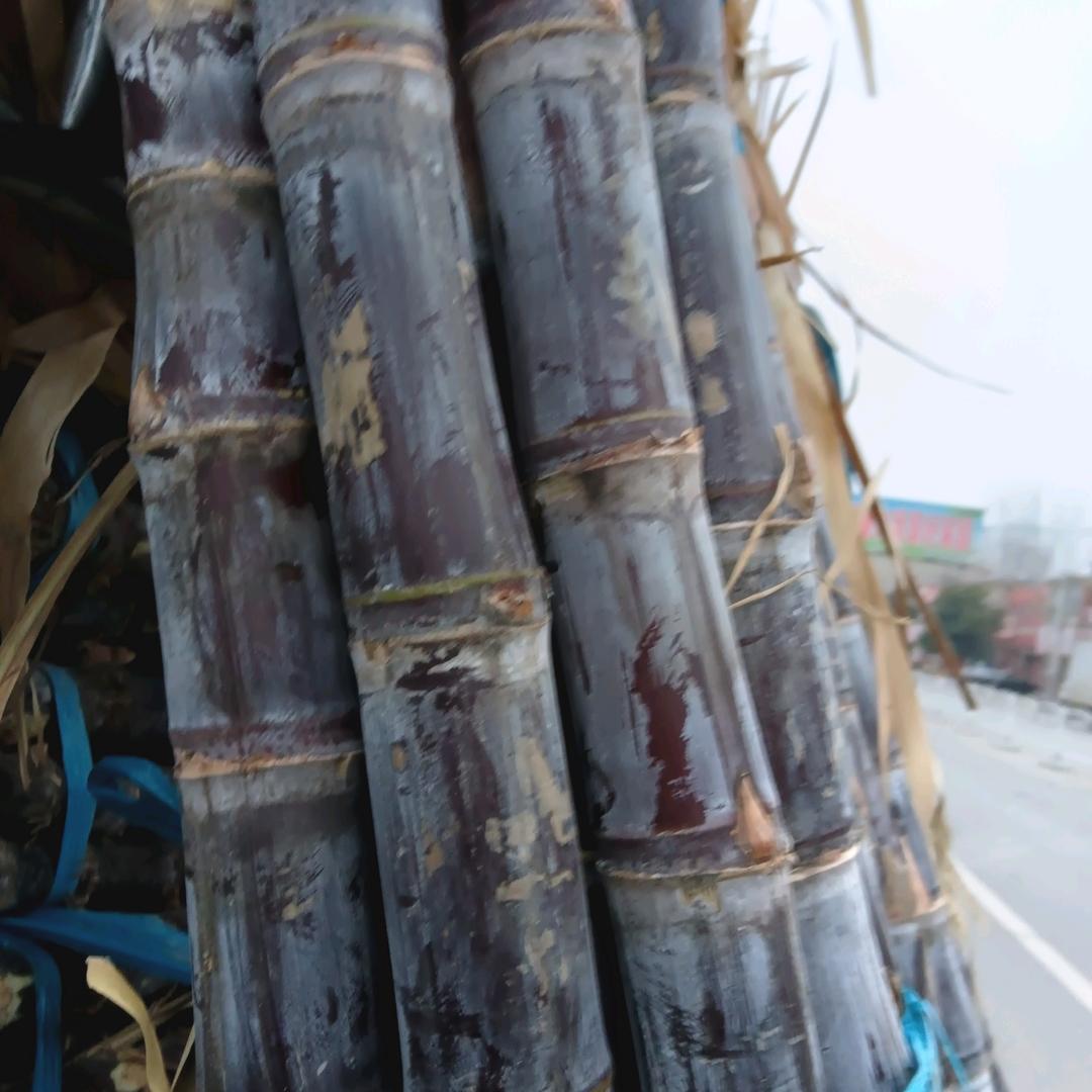 顺启水果