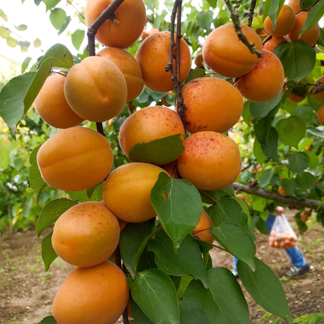 泛白…那时光~拒绝连赞~