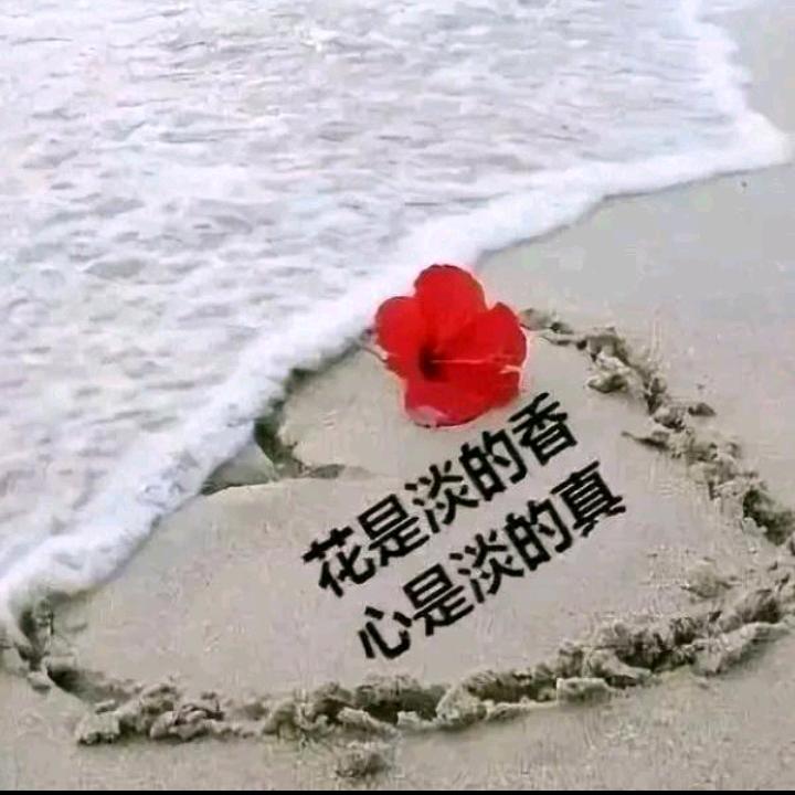 💞心中有李💞