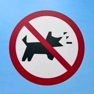 一枕秋风两处愁