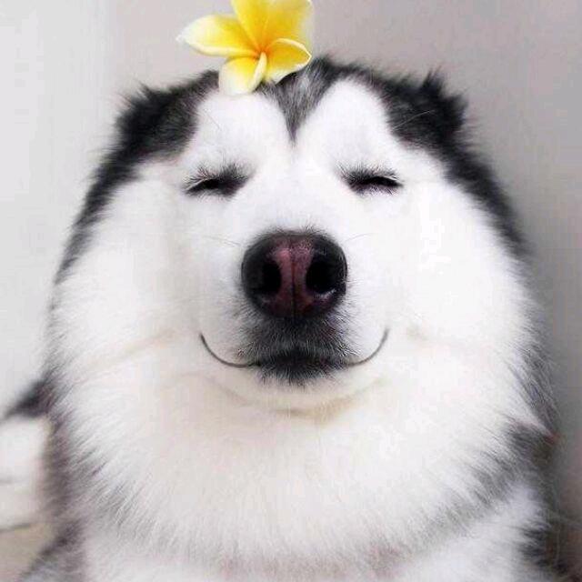 知何处