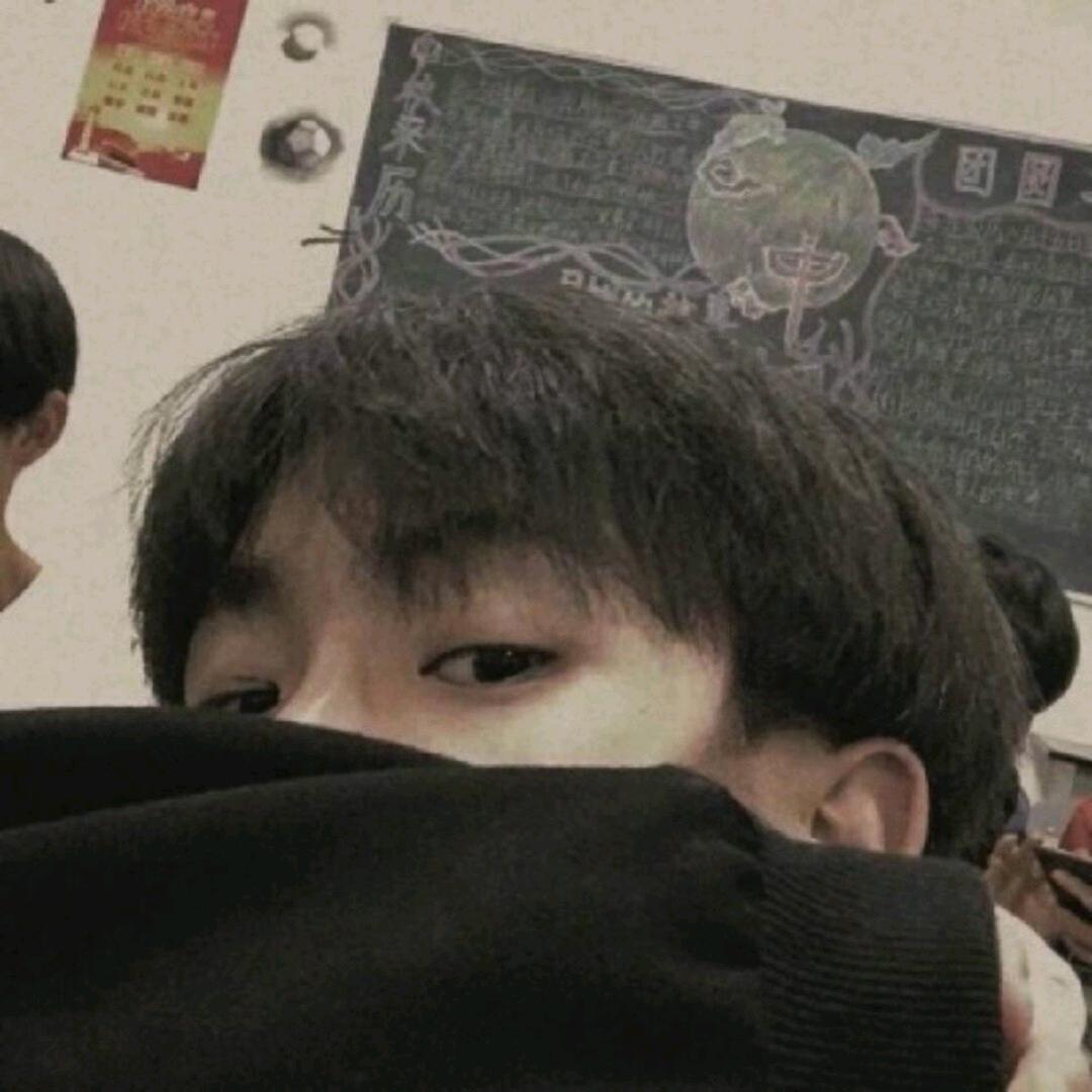情似舟