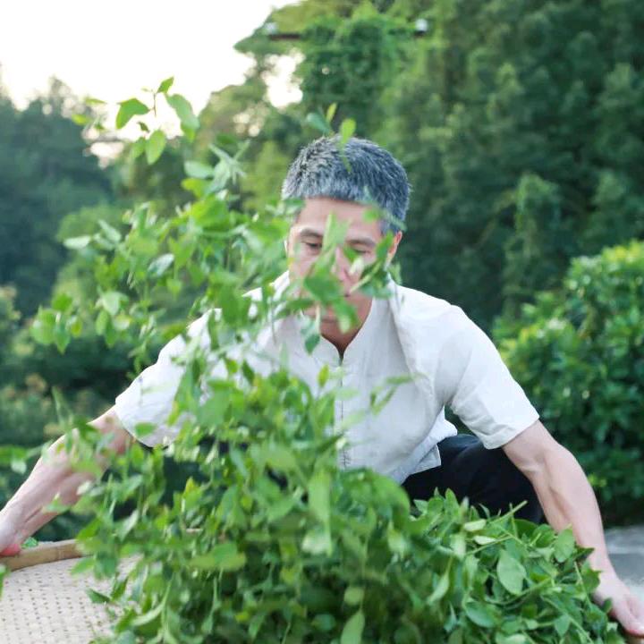 底蕴茶翁