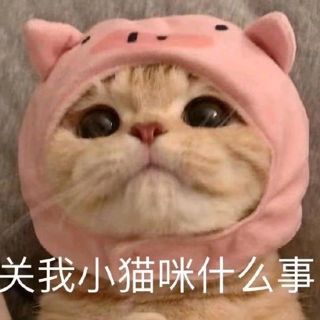 妈妈做的面真好吃