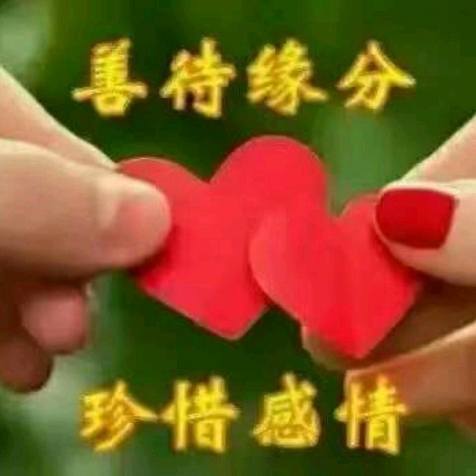 追风骏马