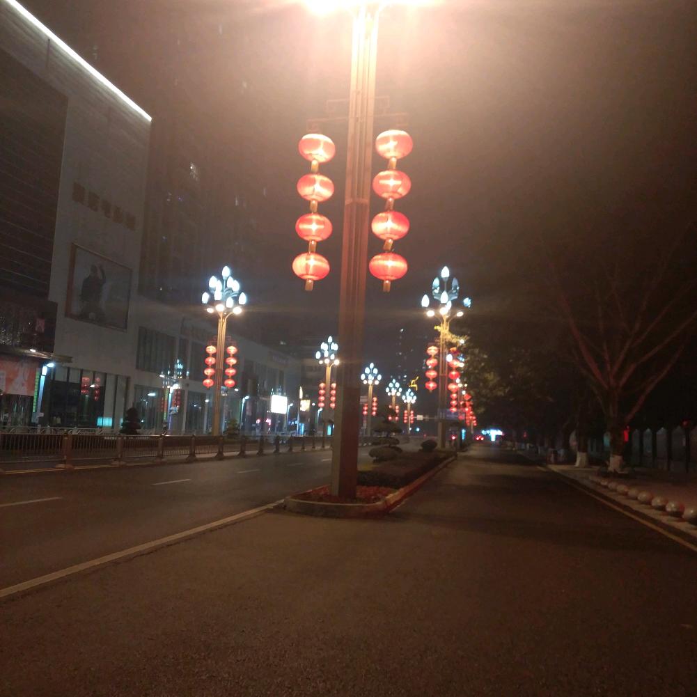雪域雄鹰
