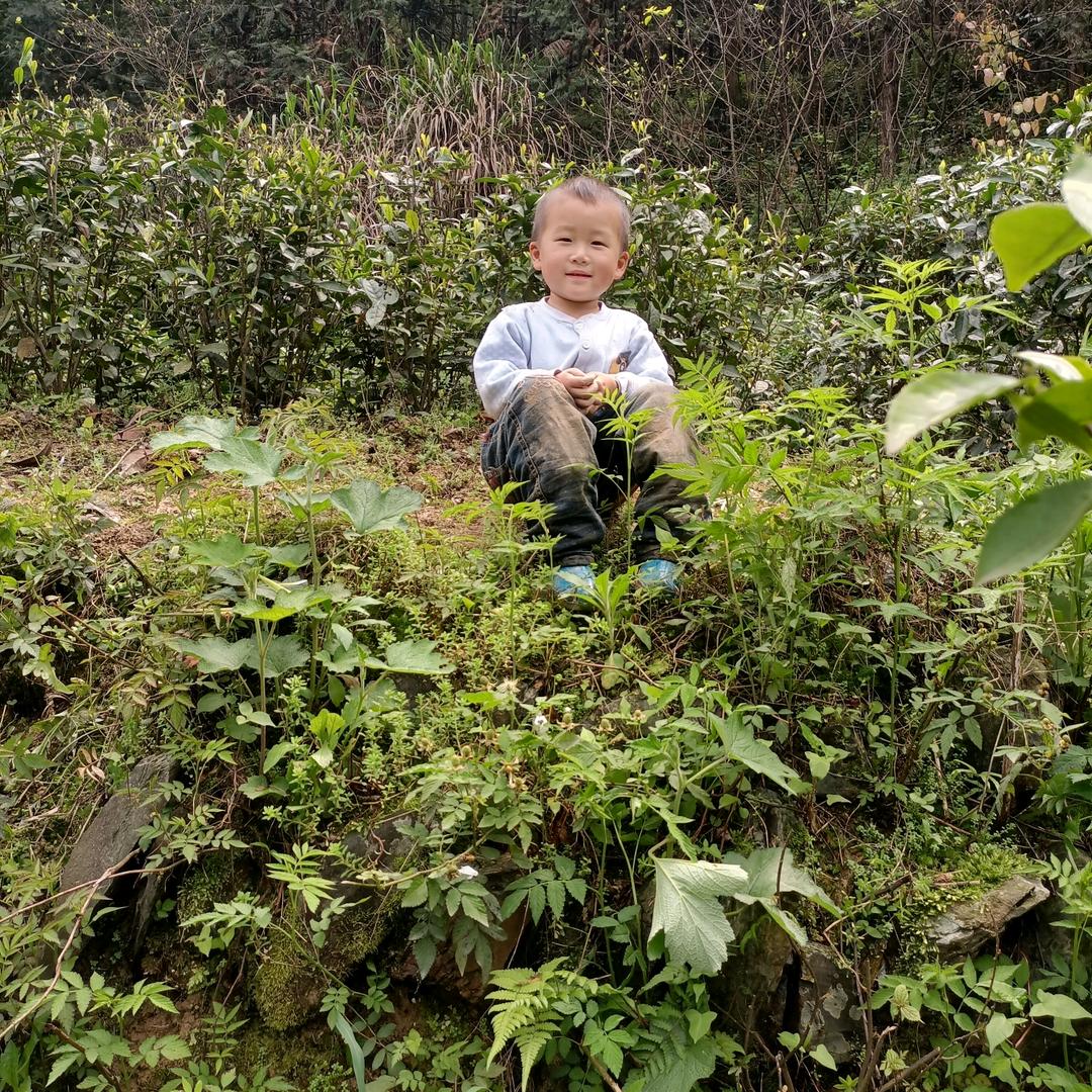 自由飞翔