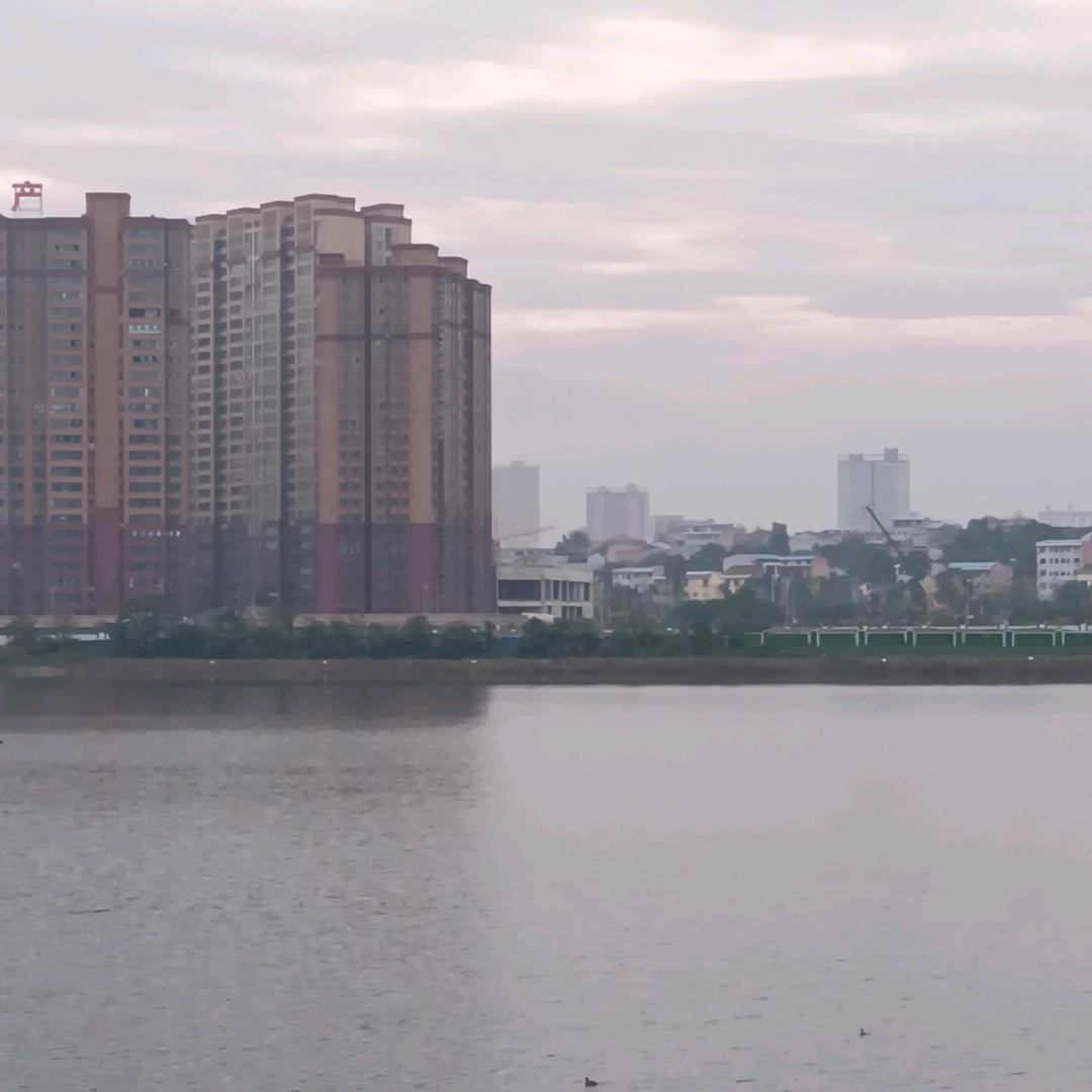 彦页汐