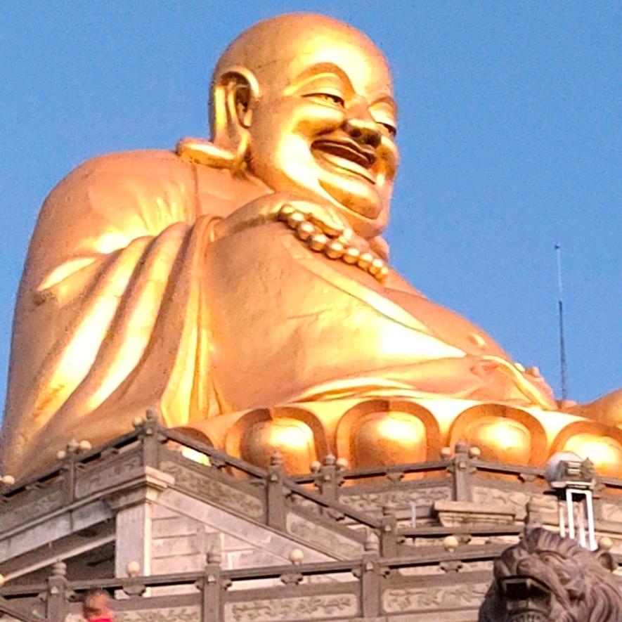 骆驼瘦死比马大。