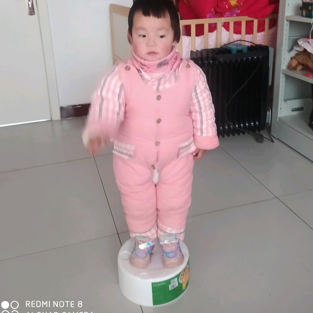田燕