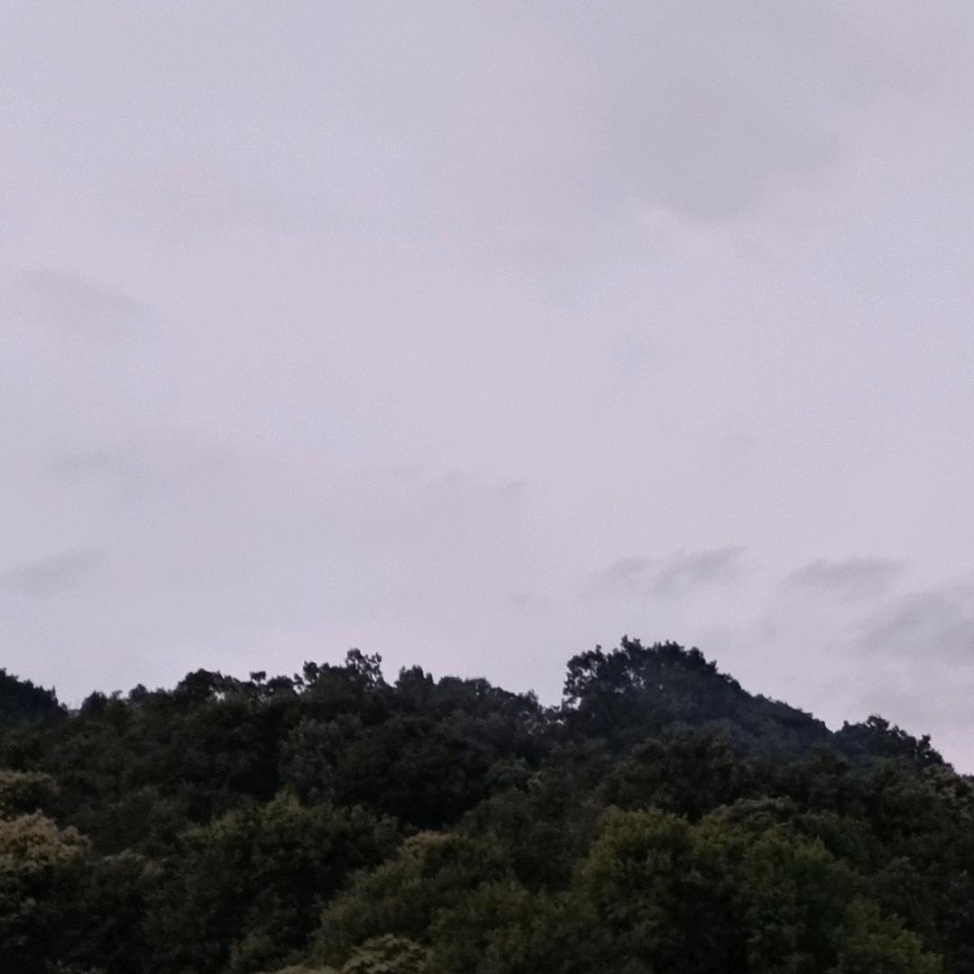 傻子
