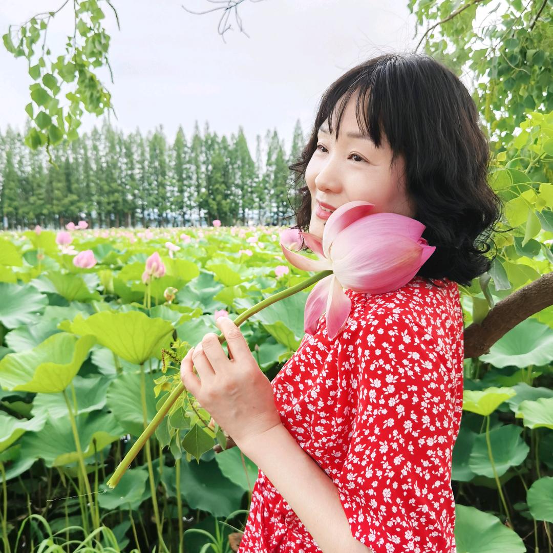 丹心华章（大号下午2点20开播