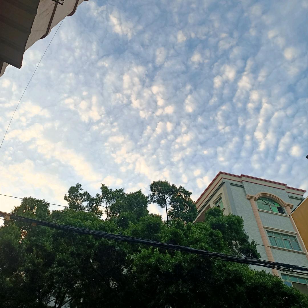 曾经的我