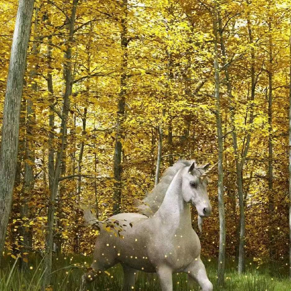 用户914011102562翱翔雄鹰