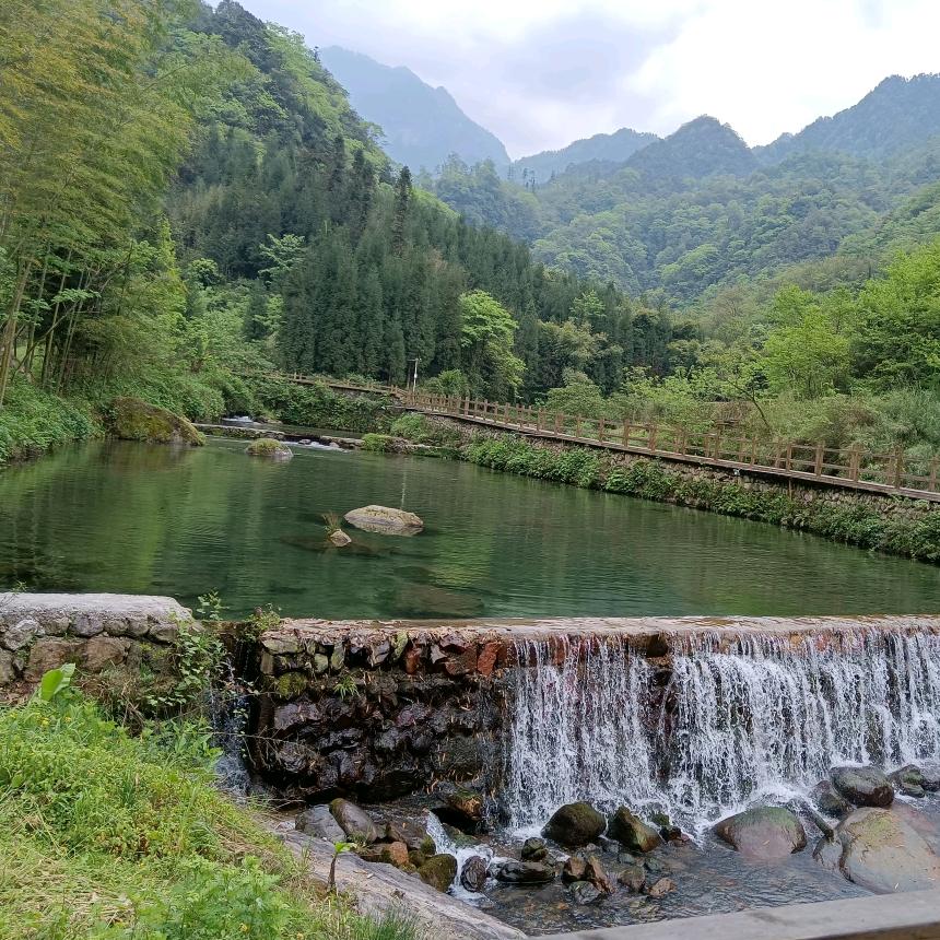 颖月丹凤