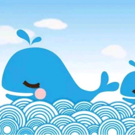 鲸鱼堡游泳俱乐部～小泳士