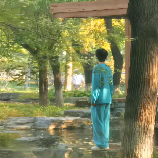 原来一心向晴