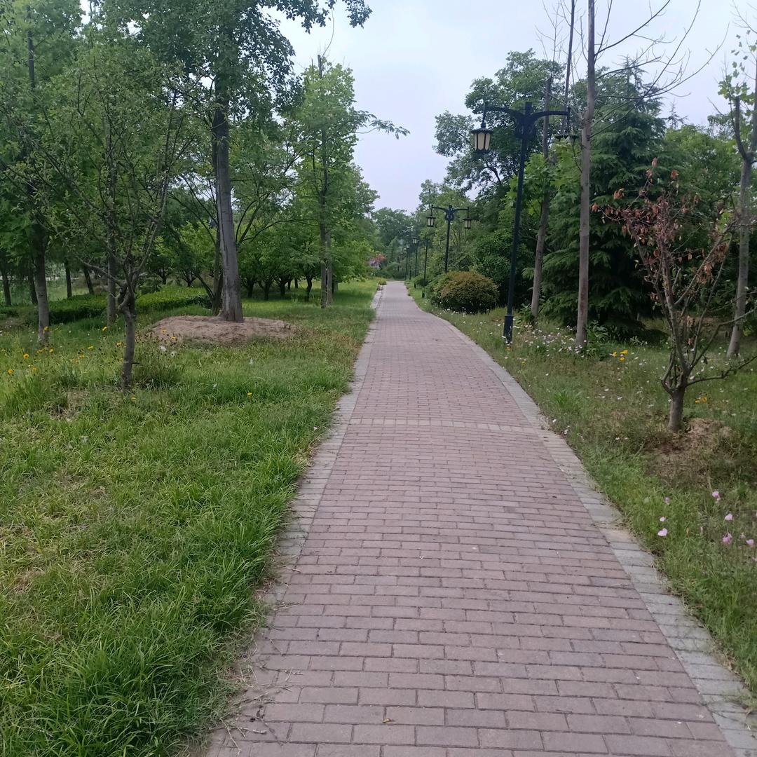 搞两百万の