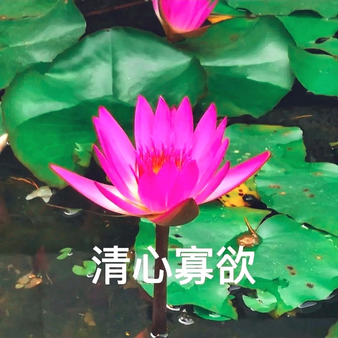 用户237510936