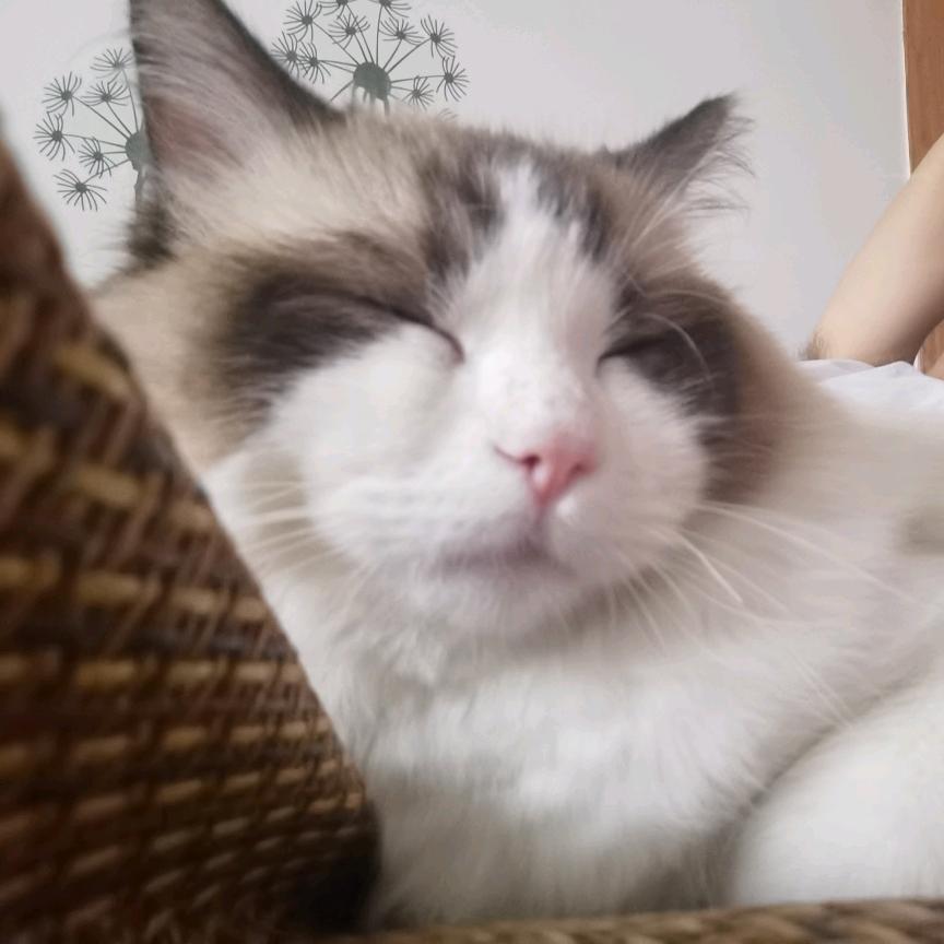 好的名字可以让你的朋友记住你