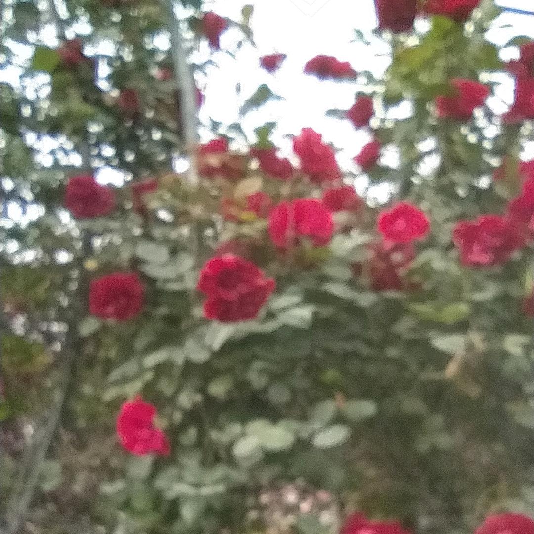 一生有你