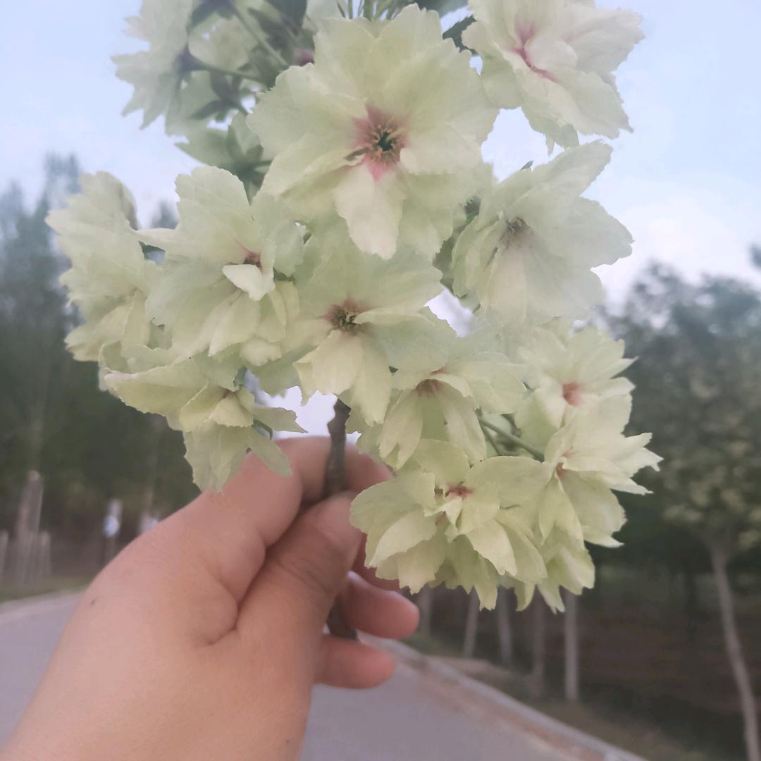 随缘