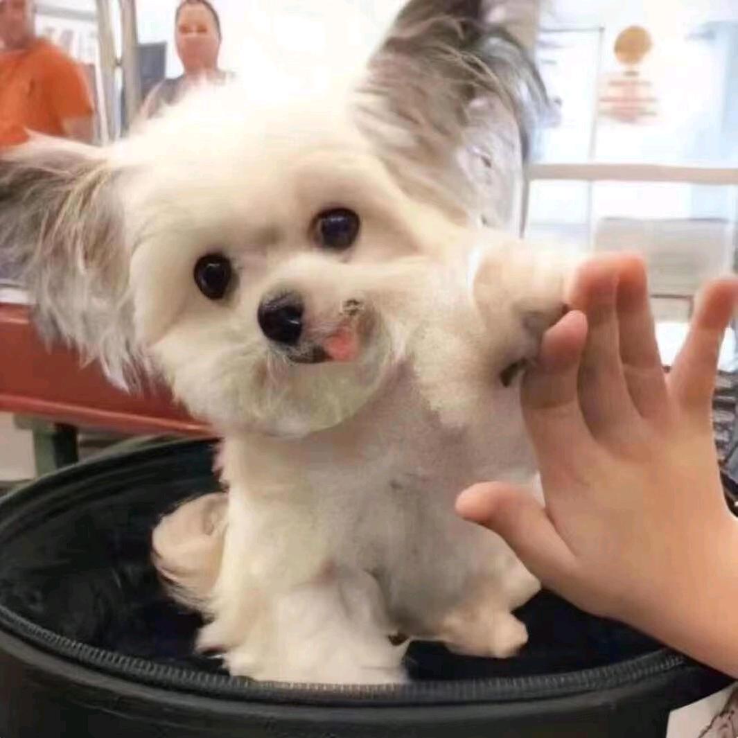 痞子少年