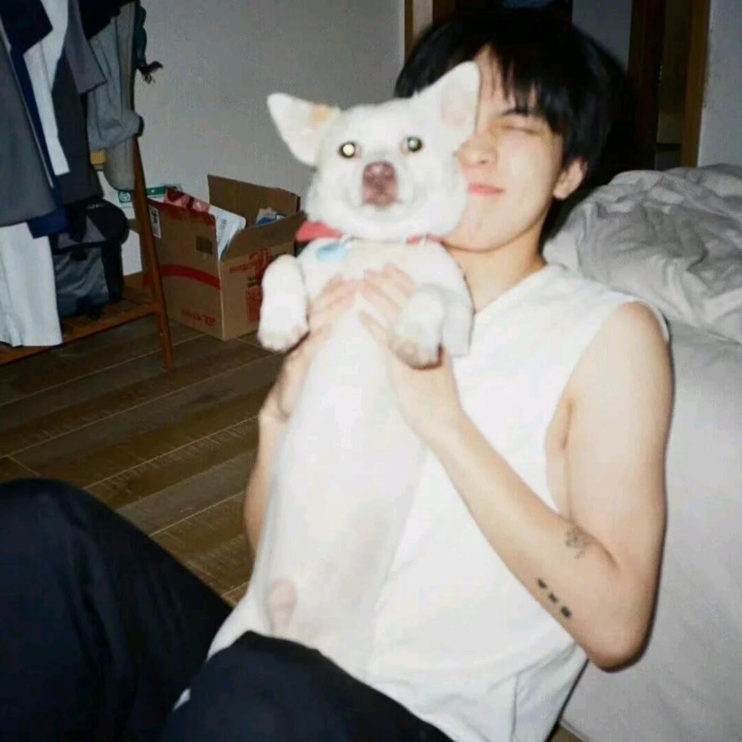 我会飞🌈🌈🌈