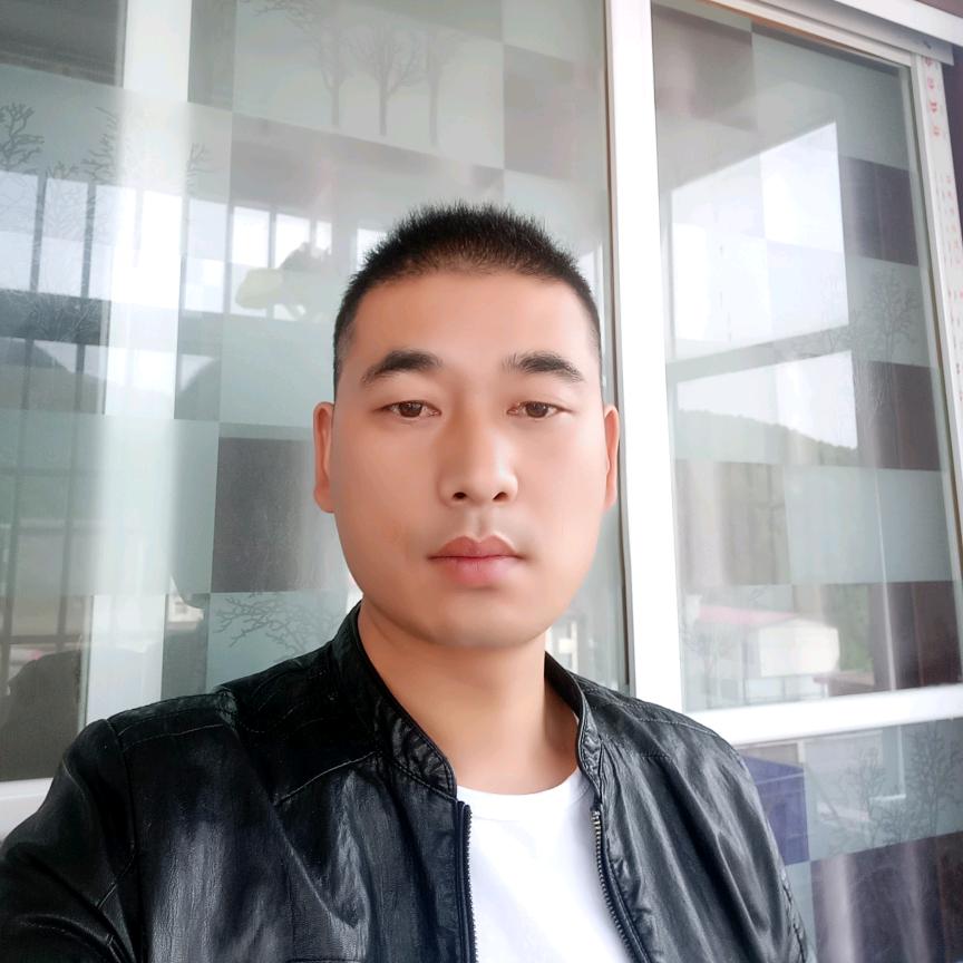 洛阳鹏哥