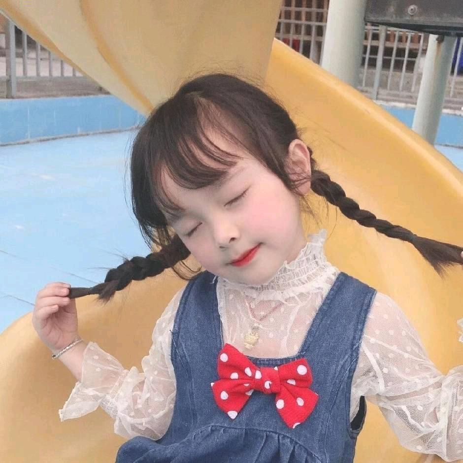 知更鸟💫