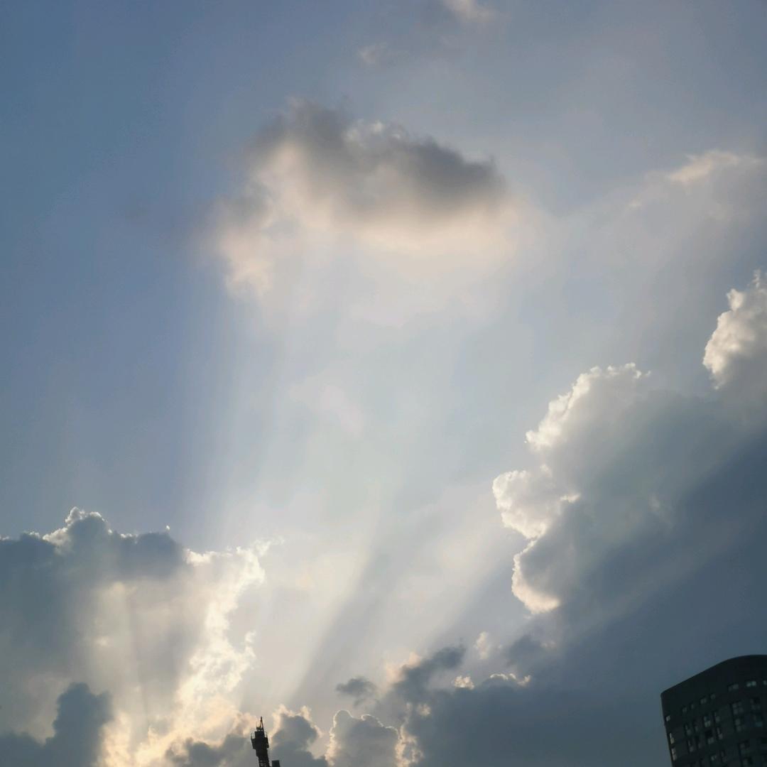 景
