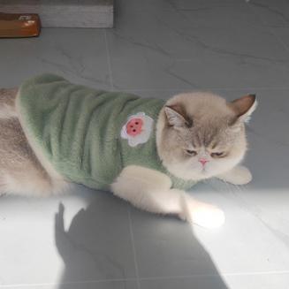 沐颜   Tails.  ♡