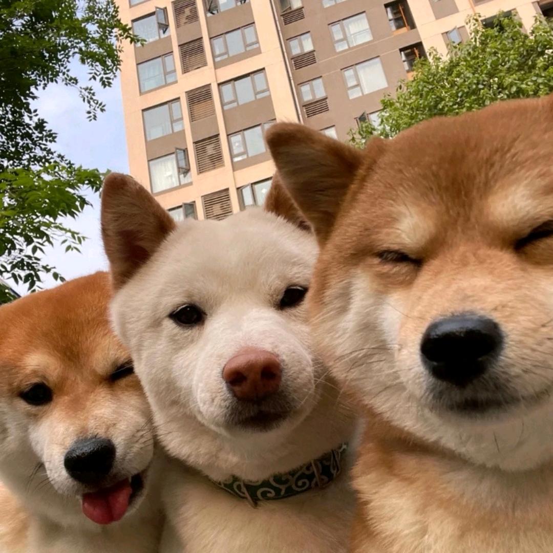小赵同志