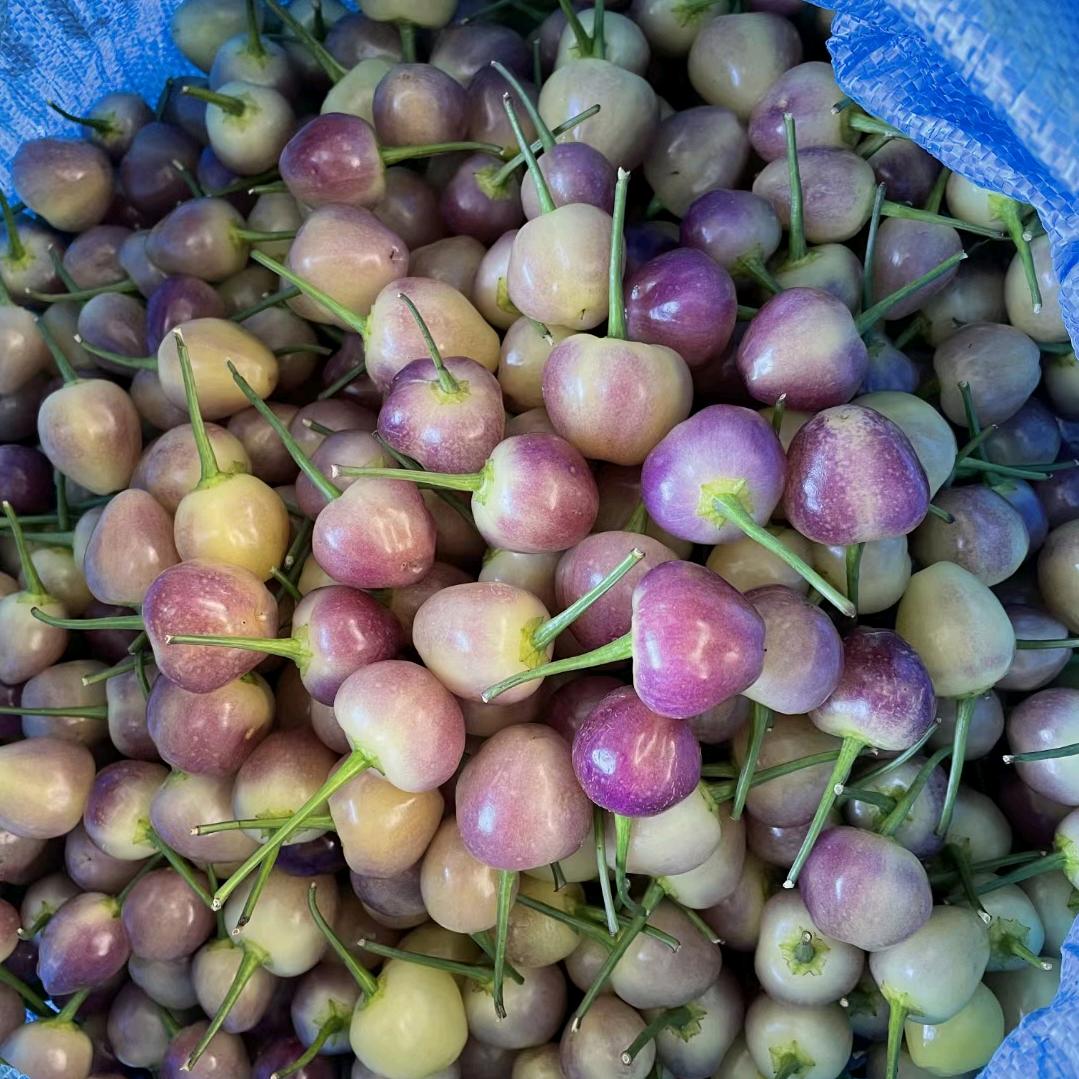 信宜粤乡味农产农业