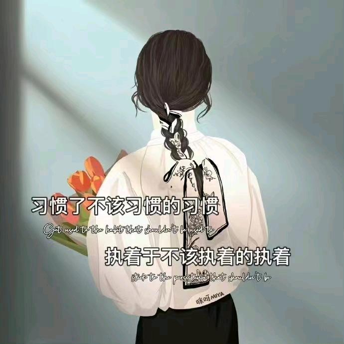 晚风2008
