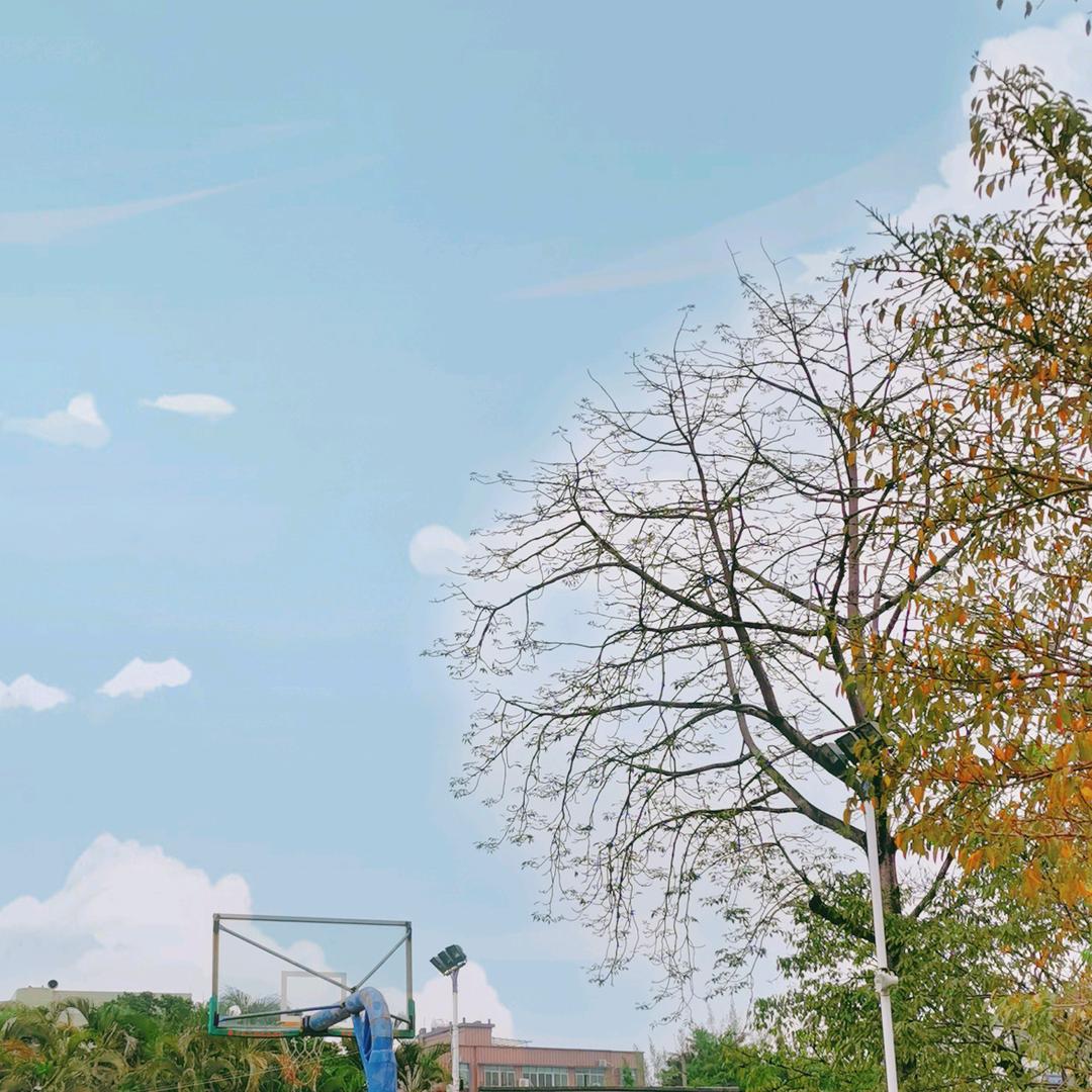 快乐橘子服饰店