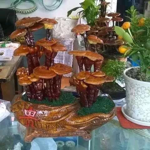 苏岩楼梯