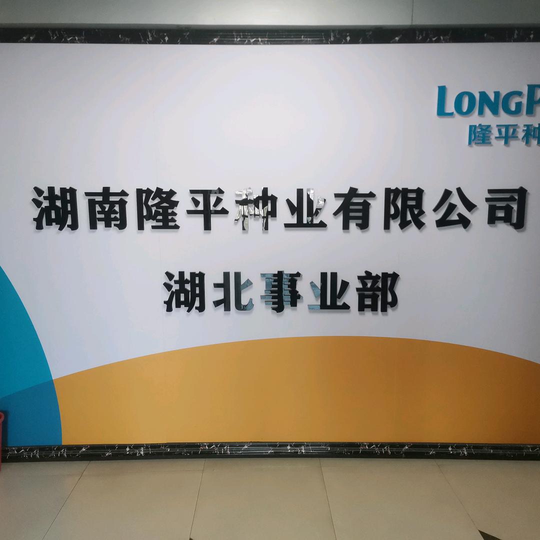 奔跑隆平亓