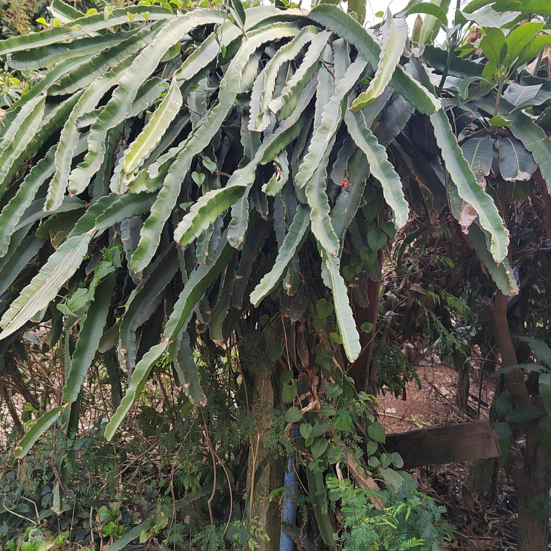 向往美好