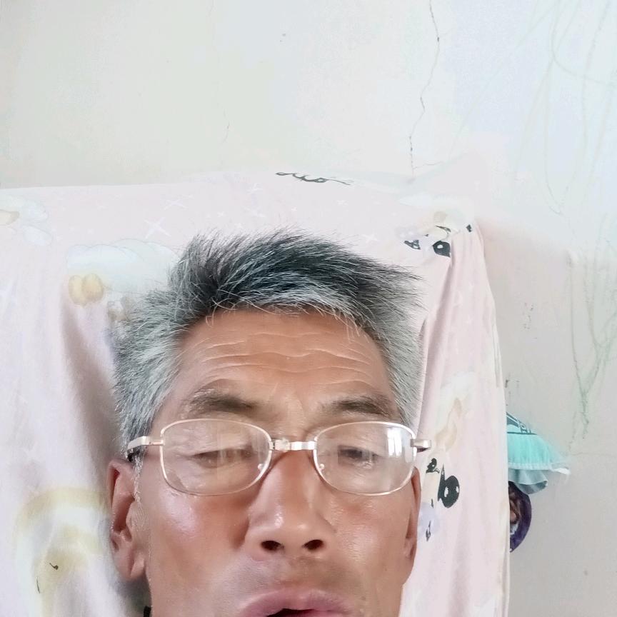 yang贵龙