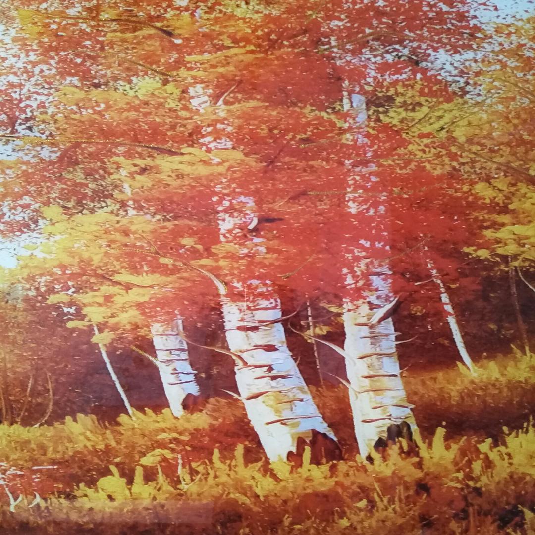 沧桑岁月